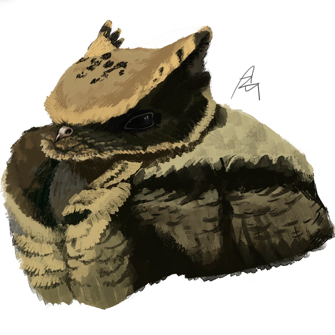 ぽんたくん様•*¨*•.¸♬︎専用てございますの Amazon.co.jp: となりのせきのますだくん (えほんとなかよし 12