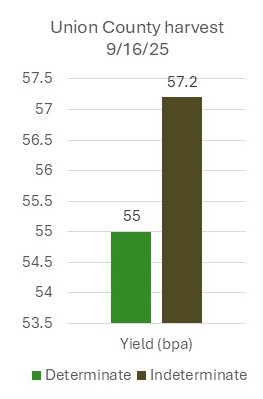 Jeff Chandler tweet media