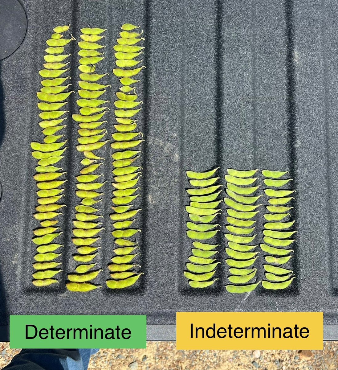 Jeff Chandler tweet media