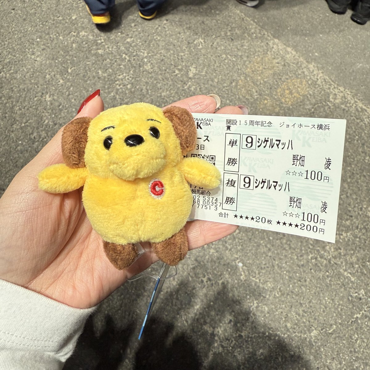 犬のぬいぐるみでいいのに。 (@moe335) / Posts / X