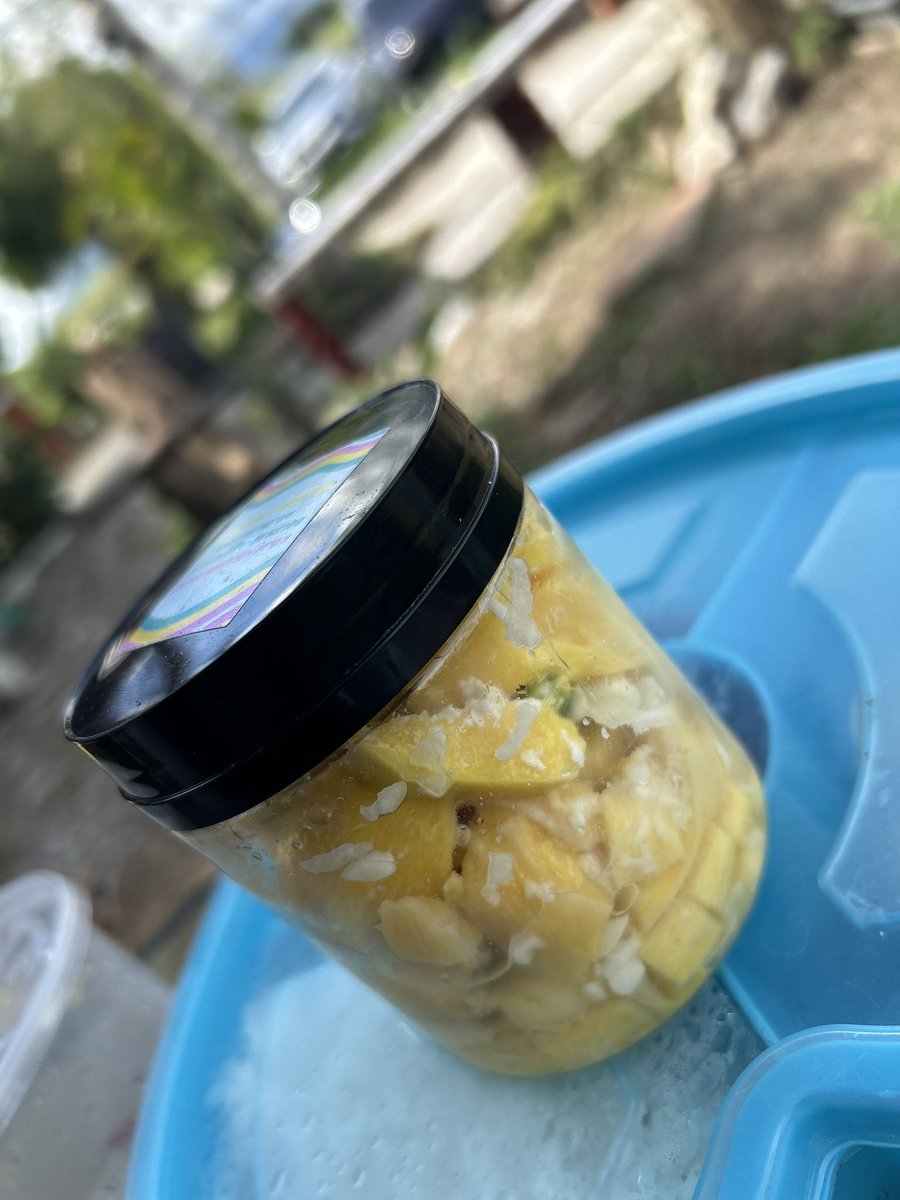 Having my beautiful lunch at Kebun sulap@Queena Herbs Garden.🦋🦜🪲🔥🪴😀🍖🤩