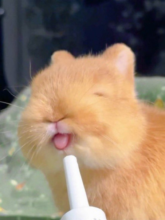 미쳤네에에😭😭😭😭😭😭😭😭~~~~ㅜㅜㅜㅜ