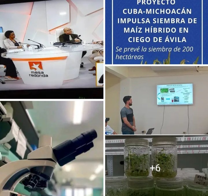 En  Mesa Redonda  anunció el Ministro del CITMA de Cuba DrC. Armando Rodríguez Batista, la provincia de Holguín como Sede del Acto Nacional por el día de la Ciencia Cubana,  como provincias destacadas La Habana, Villa Clara y #CiegodeAvila
<a href="/citmaciego/">citmaciego</a>