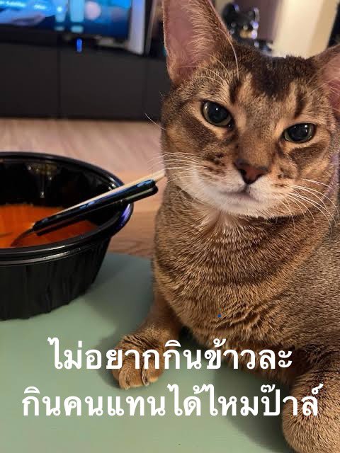 ลีออนกับทุกๆ วันในทวิตเตอร์