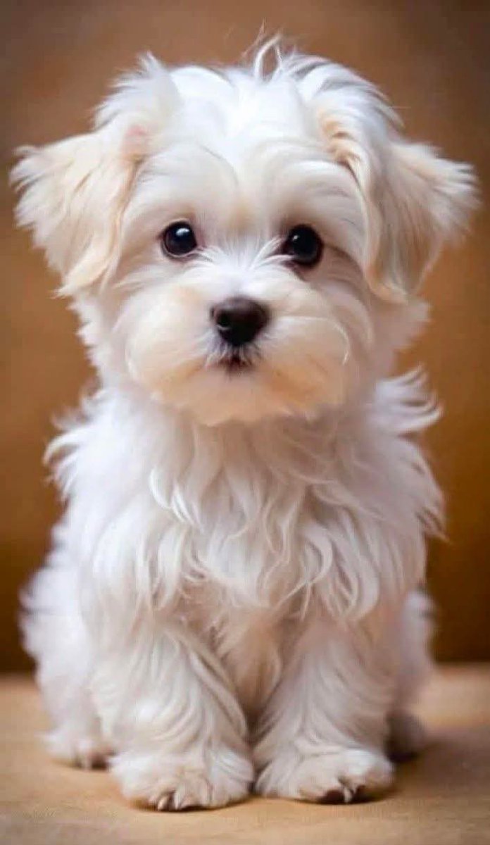 Marlyncris♍ tweet media