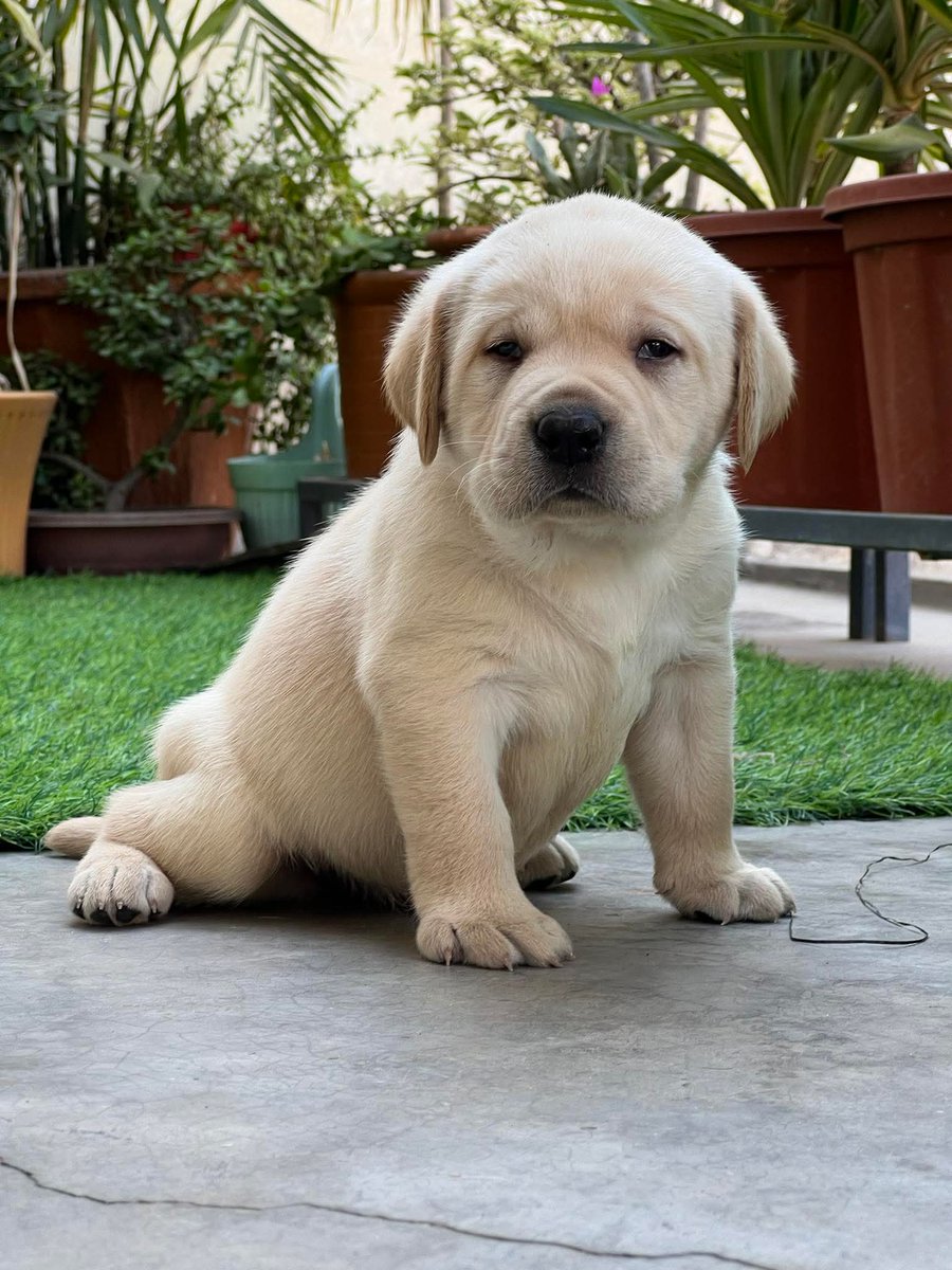 Marlyncris♍ tweet media