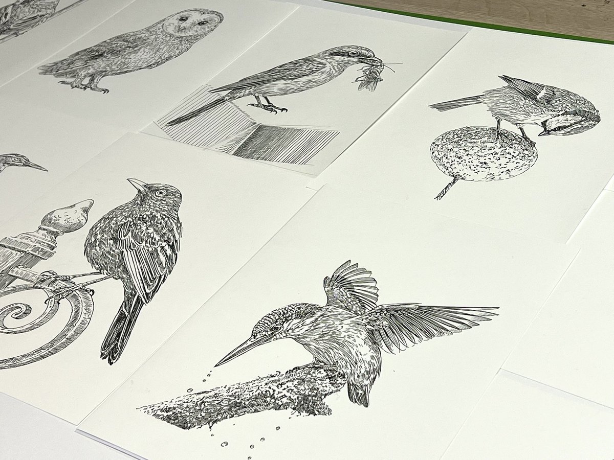 Bas Geeraets 🦉 tweet media