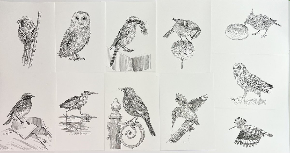 Bas Geeraets 🦉 tweet media