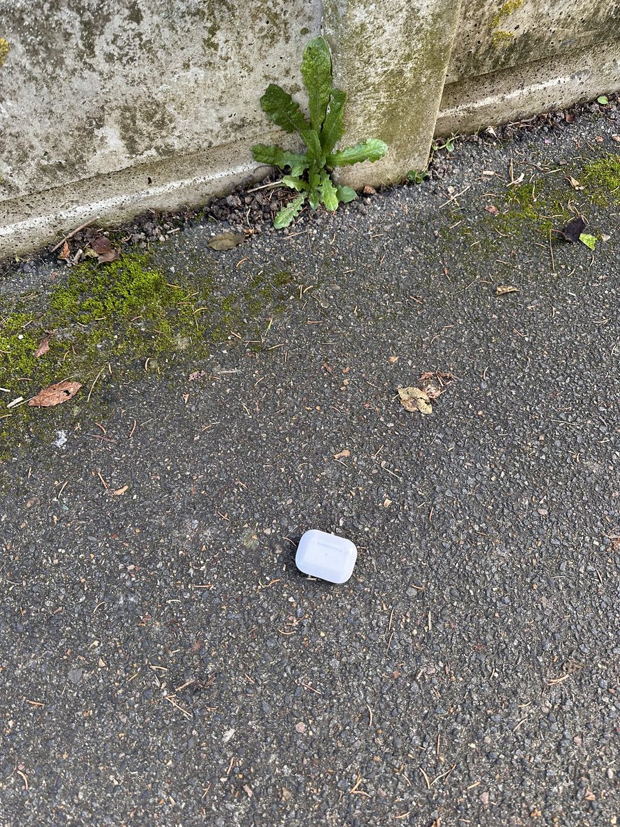 MAKE MONEY tweet media