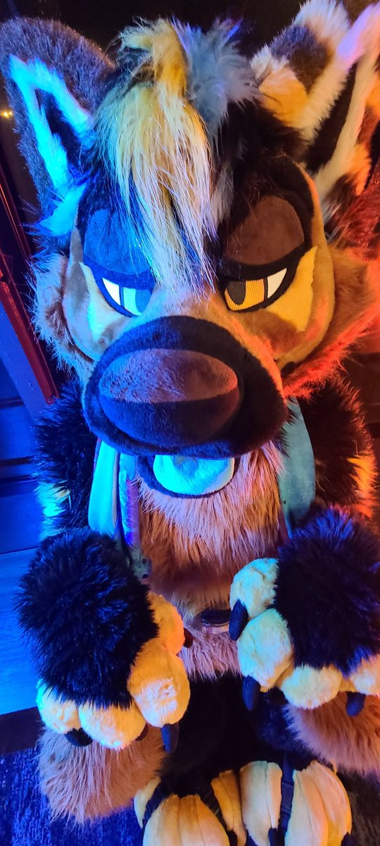 chat shepherd tweet media