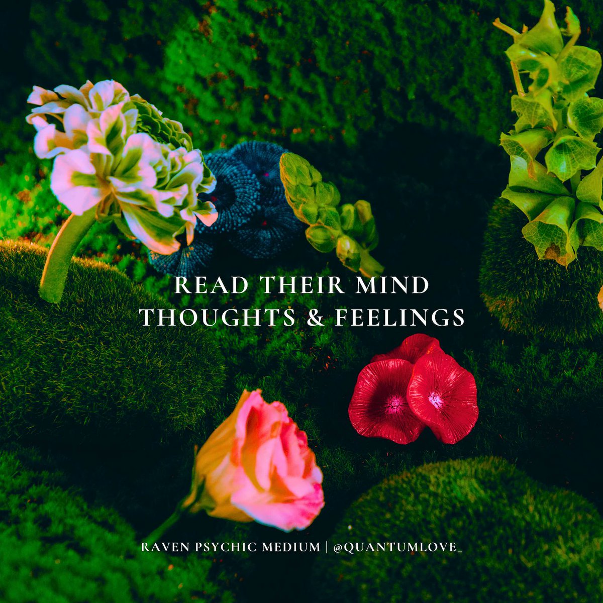 ravenpsychic_'s tweet photo. SAME DAY Telepathy Reading. what is he thinking feeling. 3rd party check https://t.co/Dq0rKOMjDx via @Etsy #etsy #sale #psychic #love #telepathyreading #whatishethinking #whatisshethinking https://t.co/CaHwJo07SR https://t.co/c7X0KTFufR