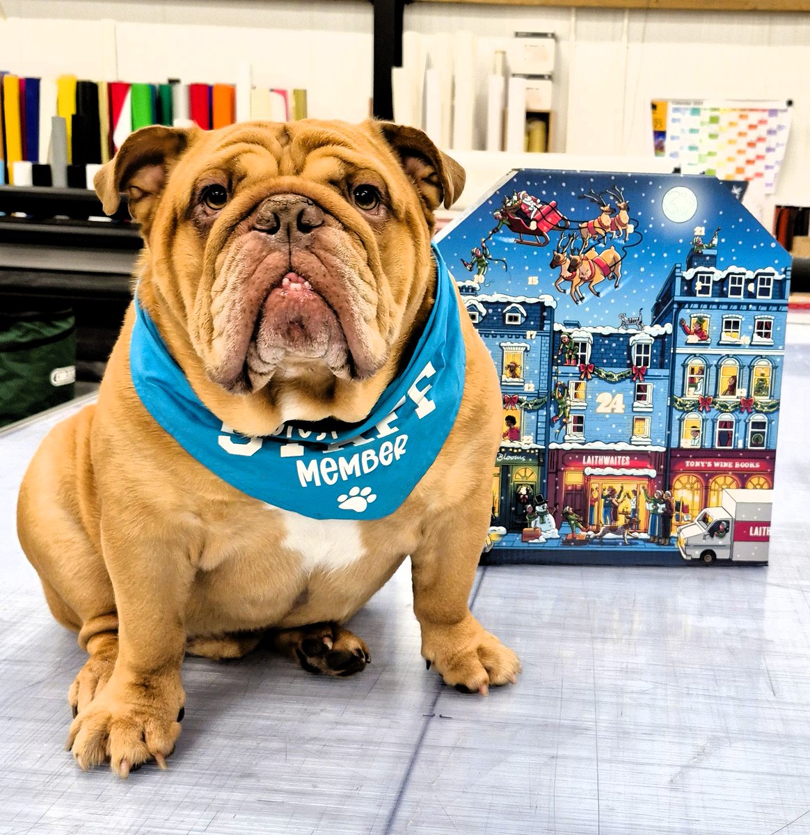 kenwhitesigns's tweet image. 🎁  𝗦𝗶𝗴𝗻𝗶𝗻𝗴 𝗢𝗳𝗳 𝗳𝗼𝗿 𝘁𝗵𝗲 𝗛𝗼𝗹𝗶𝗱𝗮𝘆𝘀! 🎄We’re wrapping up 2025 projects &amp;amp; heading off for our festive break!
From all of us at Ken White Signs, Happy Christmas to all our customers, contacts, and suppliers! ✨
#Signage #SignageCompany #Signs #BusinessSigns