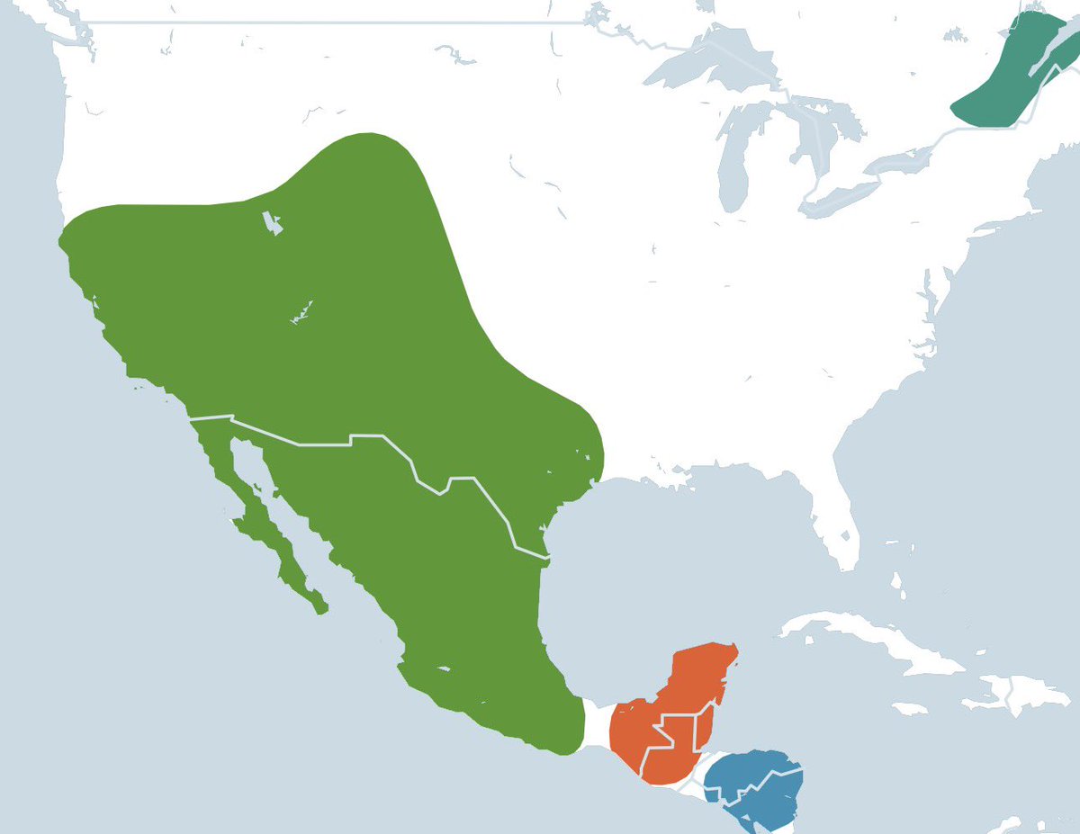 aswangfan's tweet image. I am exactly where my ancestors have always been

Whites are the foreigners who should go back home to whatever shithole european country their dishonorable grandparents fled from 🤣