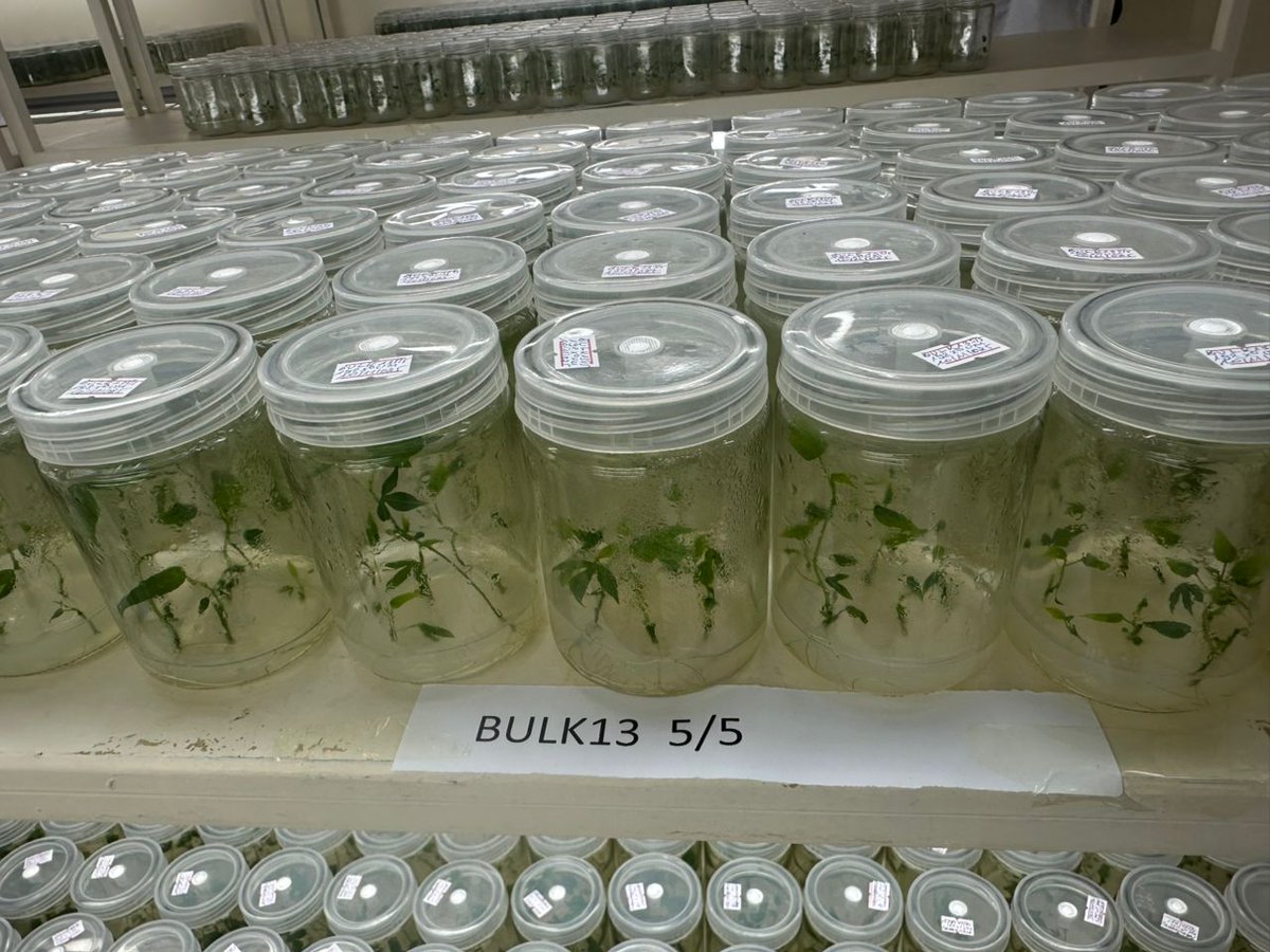 Annonciata BYUKUSENGE tweet media