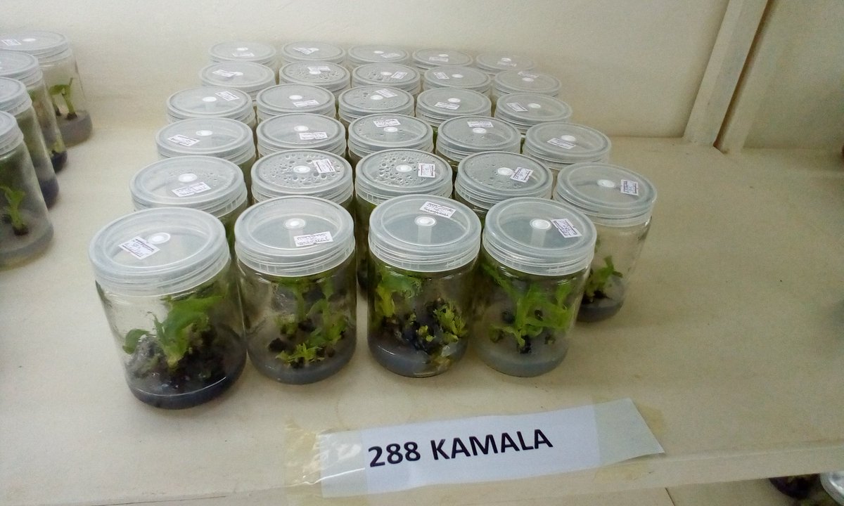 Annonciata BYUKUSENGE tweet media