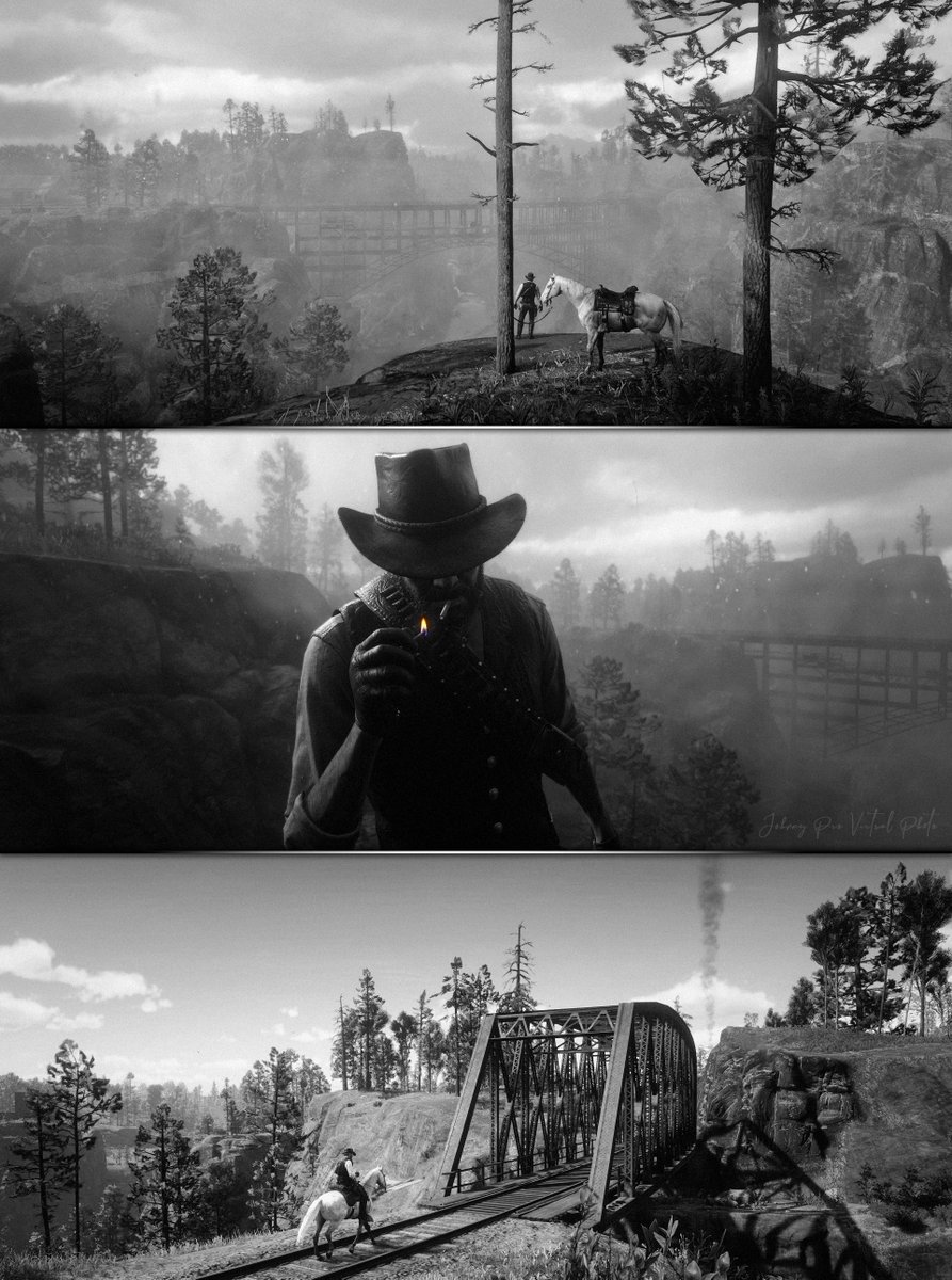 Red Dead Redemption 2. B&amp;W. 

#RedDeadRedemption2 • #VirtualPhotography •  #ukrVP • #VPHiddenGems • #VPWorld • #VPRT