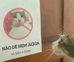 o snow depois que o haymitch bebeu a jarra de leite dele