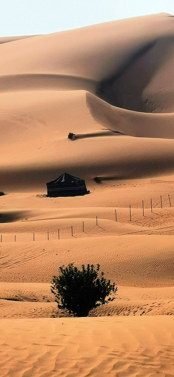ً

فـيـ  الهِدوء  نعيـم
وفـيـ  الصمت  حياة
 وما بين الإثنين تفاصيل لا أحد يدركها".

#مساء_الخير
#تصويري