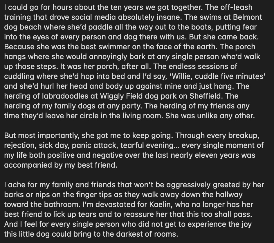 shane_riordan's tweet photo. Stopped the tears for long enough to write down some thoughts about my baby girl. 

If you're so inclined, Kaelin and I have organized a fund in Willie's name benefitting @PAWSChicago. Any little bit helps someone hopefully have memories like we had.

https://t.co/sZbtHyufwQ https://t.co/pf1i5RaMe6
