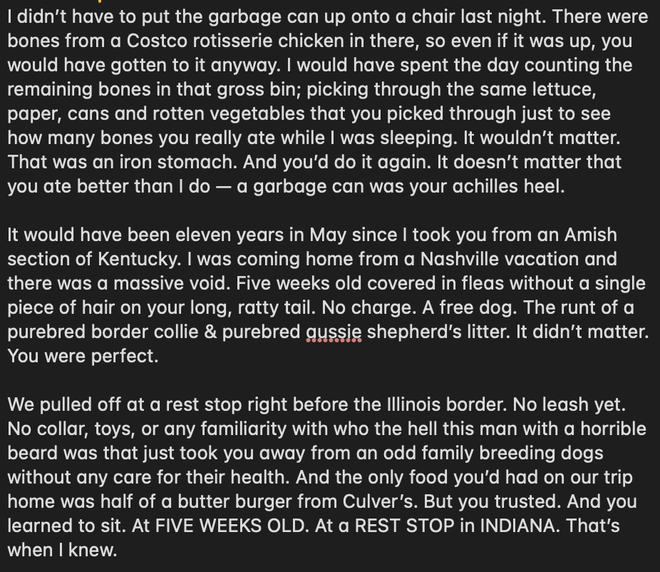 shane_riordan's tweet photo. Stopped the tears for long enough to write down some thoughts about my baby girl. 

If you're so inclined, Kaelin and I have organized a fund in Willie's name benefitting @PAWSChicago. Any little bit helps someone hopefully have memories like we had.

https://t.co/sZbtHyufwQ https://t.co/pf1i5RaMe6