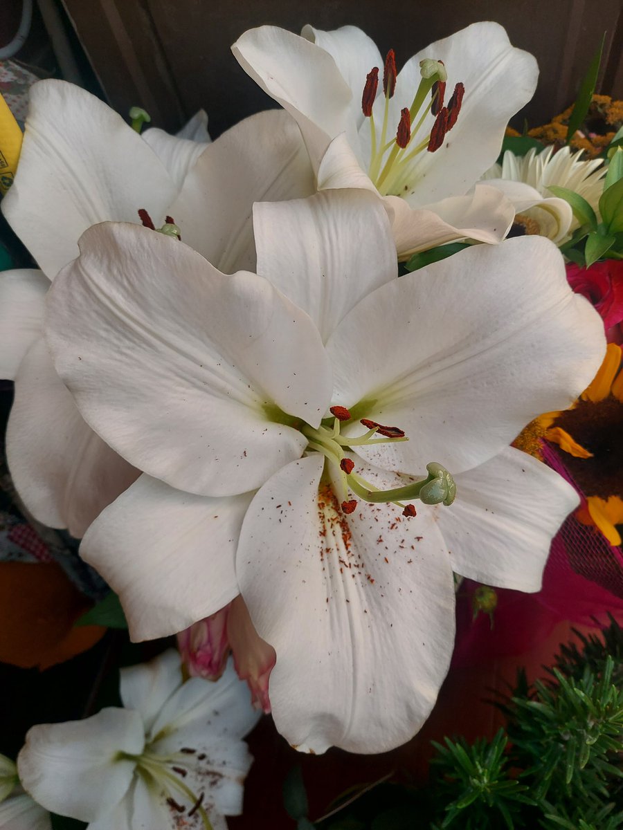 Maria Lea tweet media