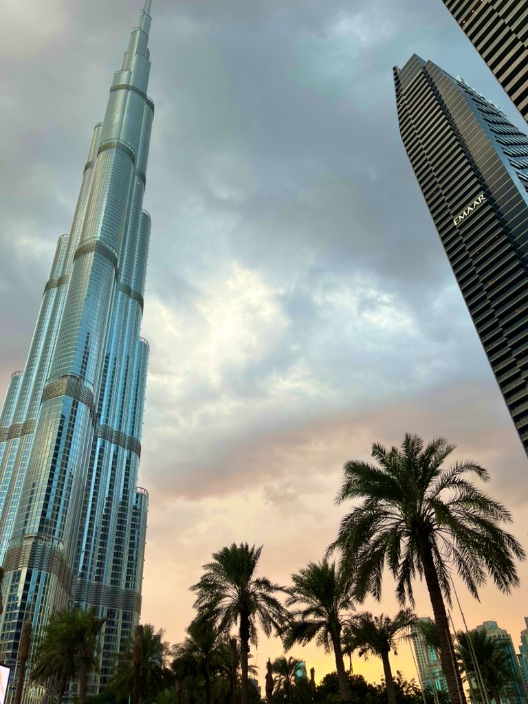 PinkTaxiRunner tweet media