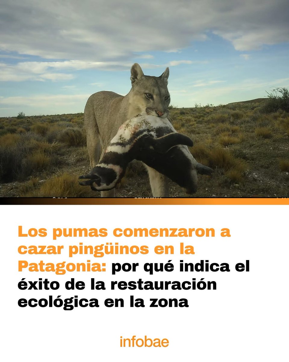 fluying's tweet image. VLLC!