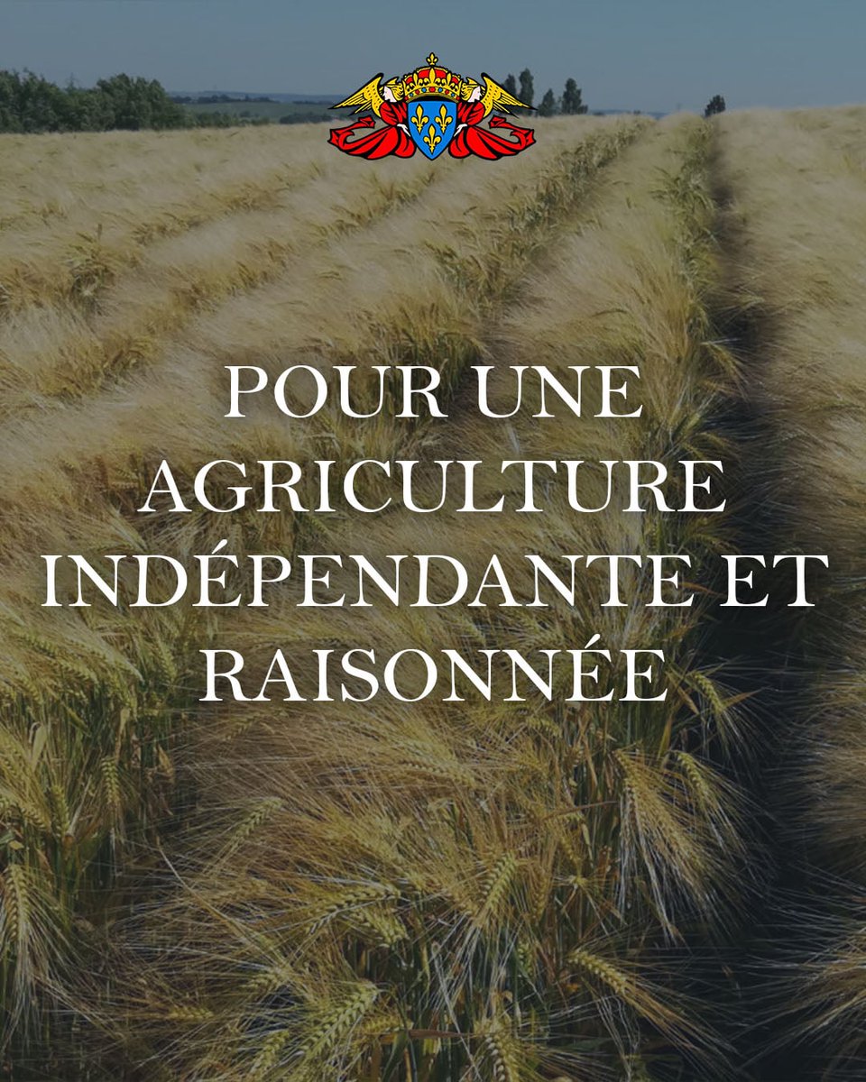 Prince Jean d'Orléans - Comte de Paris tweet media