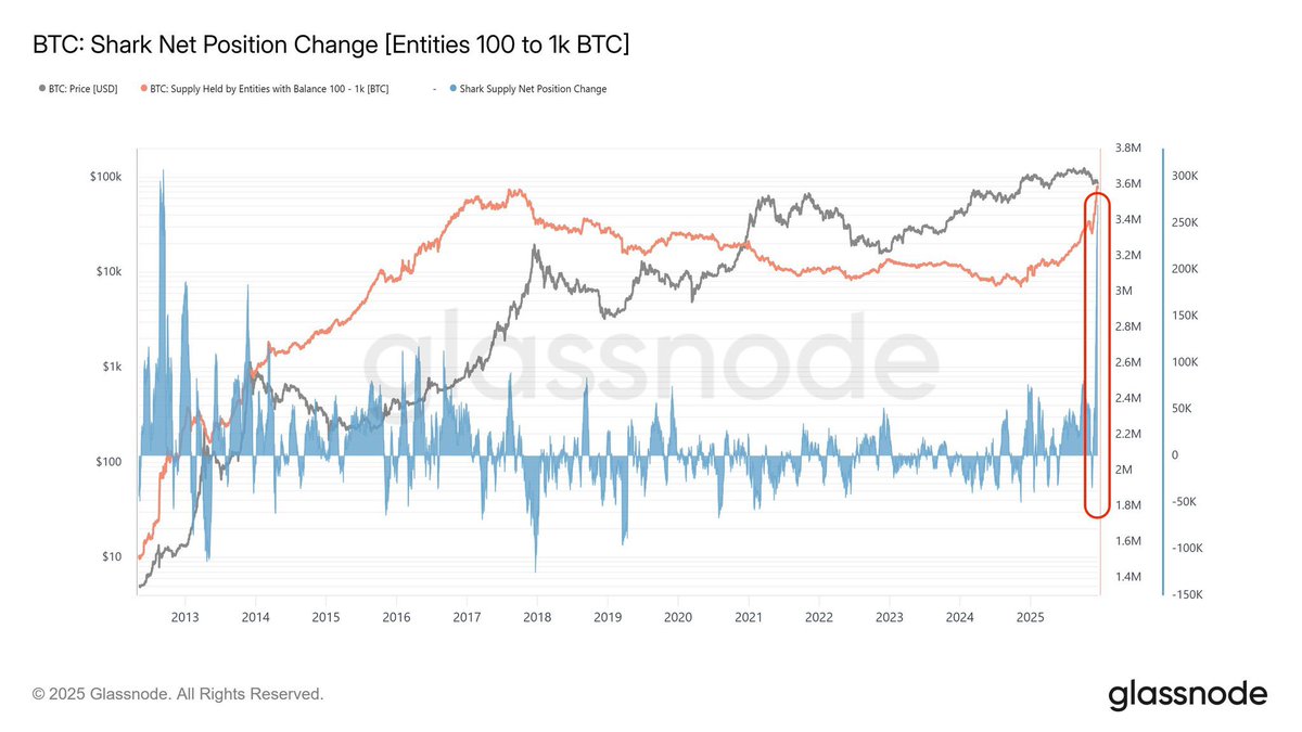 Vivek4real_'s tweet image. WHALES JUST BOUGHT $23,500,000,000 WORTH OF #BITCOIN, THE HIGHEST AMOUNT EVER.

YOU ARE SCARED, WHALES ARE BUYING