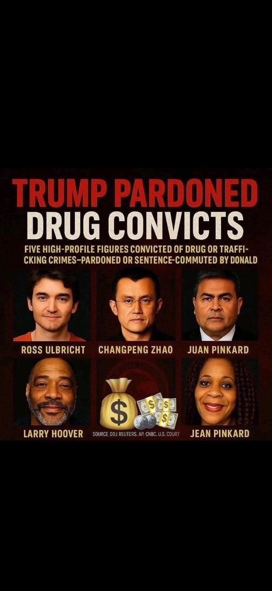 donnagv7's tweet image. Can you explain this Schmitt?