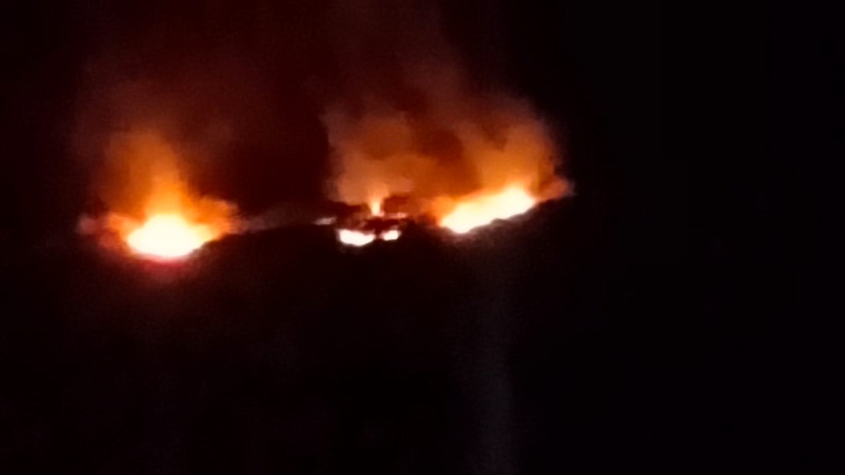 TikaRamJullyINC's tweet image. अलवर के बाला किला बफर ज़ोन के जंगल क्षेत्र में आगजनी की घटना के समाचार अत्यंत चिंताजनक हैं। विशेष रूप से कृष्ण कुंड के ऊपर पहाड़ी क्षेत्र में लगी आग से वन्यजीवों की सुरक्षा को लेकर मन अत्यंत चिंतित है।

मेरी सरकार से मांग है कि बाला किला बफर ज़ोन में लगी आग पर तत्काल प्रभावी…