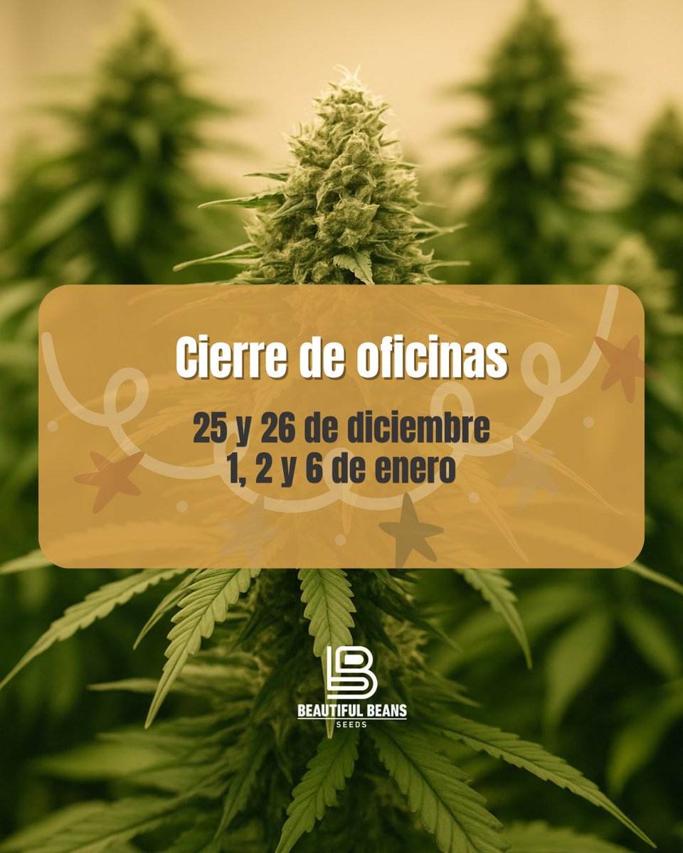 Beautiful Beans Seeds tweet media