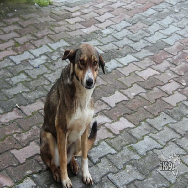 <a href="/haskologlu/">ibrahim Haskoloğlu</a> Allah'ın sessiz kulları.
Onların ahını almayın.