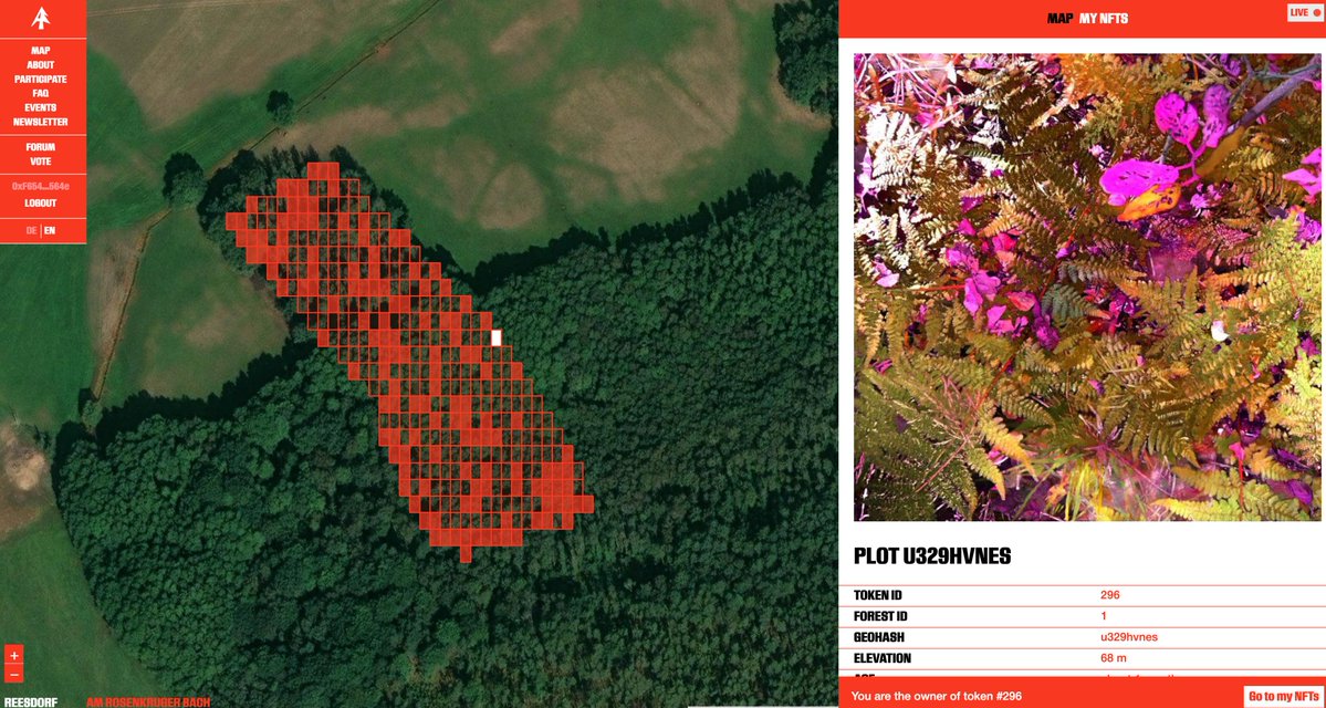 Rrose_Selavy_11's tweet image. Just followed @quasimondo's example and staked a plot on @_terra0 to preserve a piece of forest 🌲

autonomousforest.org/map