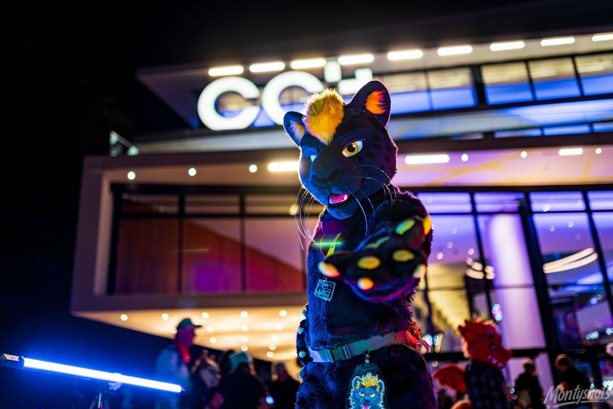 Finn 🔜 FE GoH! tweet media