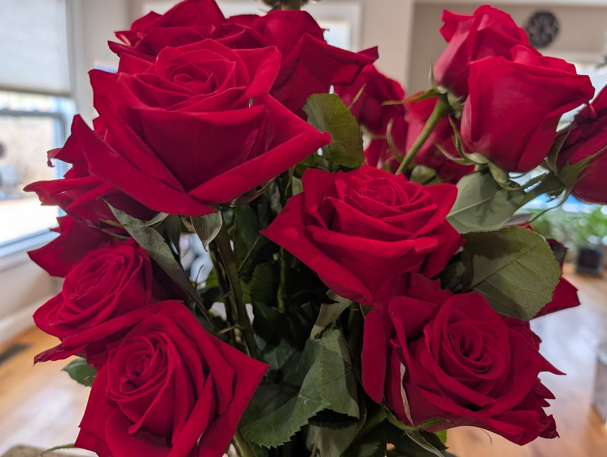 MrsGPU's tweet image. Happy Dating Anniversary...to the man that never forgets, loves whole heartedly, is a teddy bear in the body of a 6'5 man, who drops things to helps others, makes me laugh all the time and is an amazing dad. Love you babe! 24 years and counting! @JeseMartinez