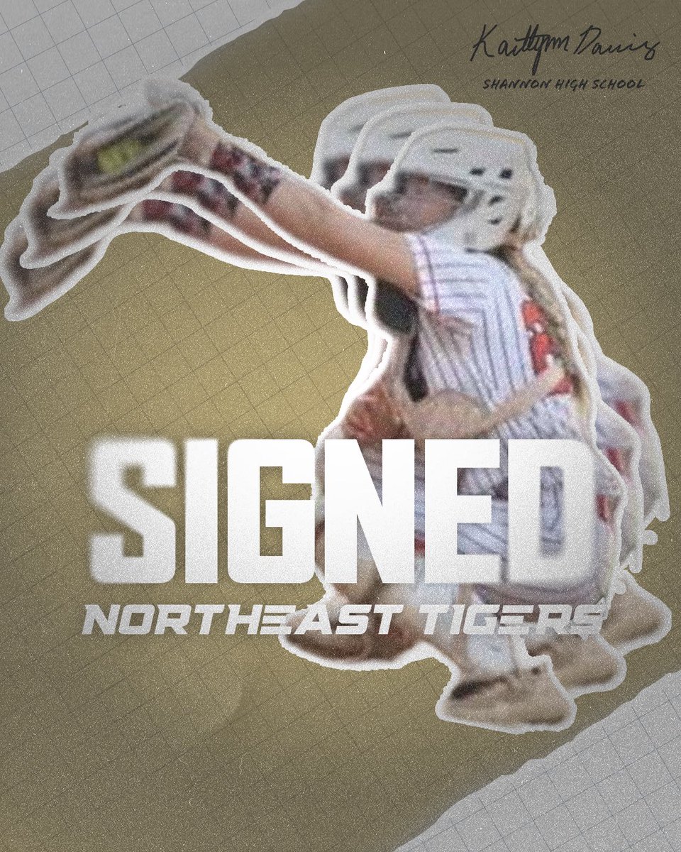 NEMCCSOFTBALL tweet media