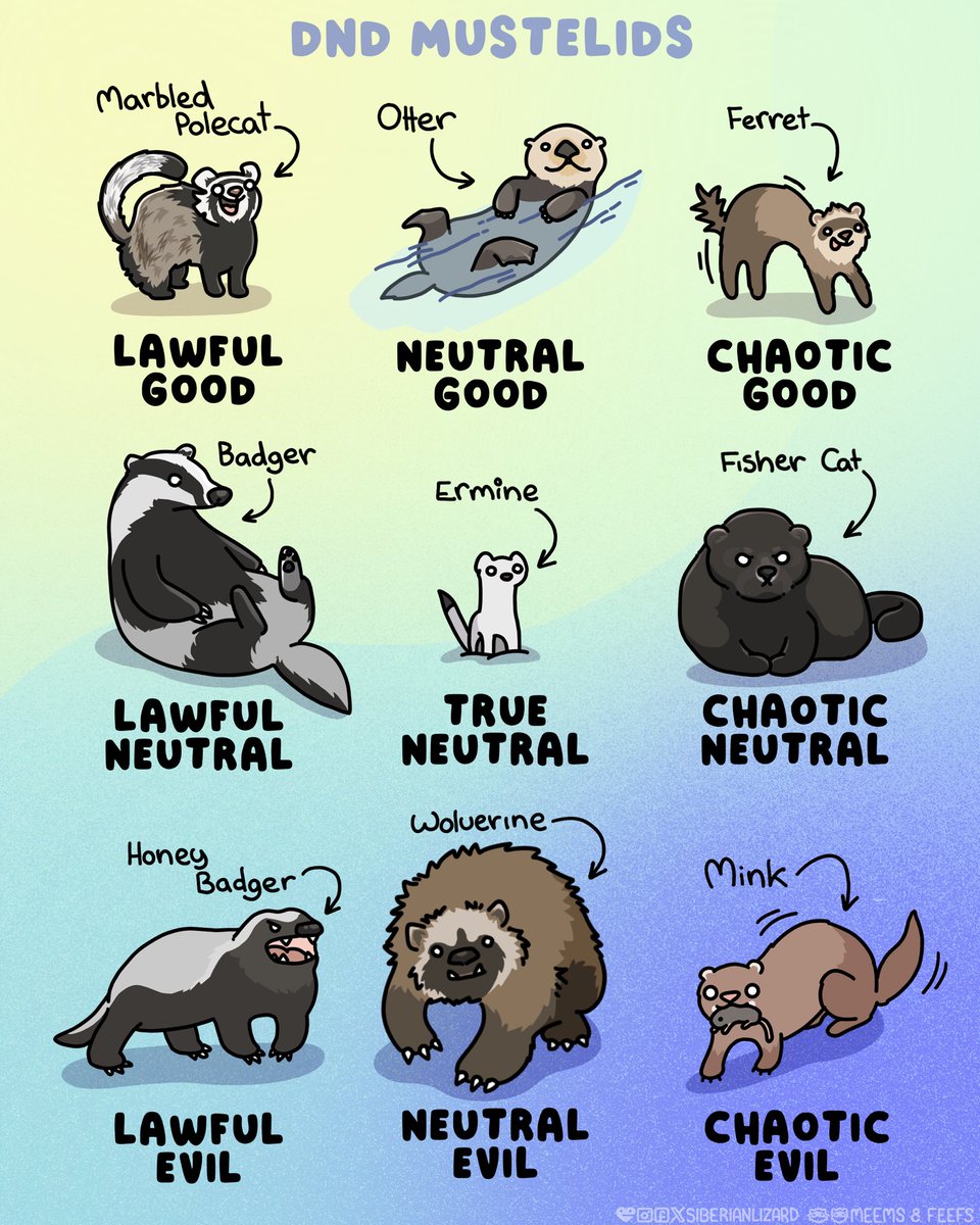 Siberian Lizard 🤍 tweet media