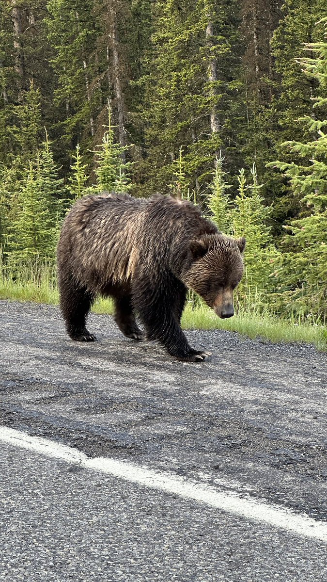 peter lougheed provincial park - july 11 2023