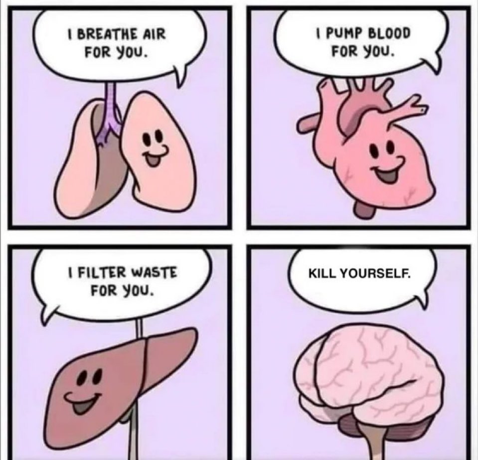 thedailymemes_'s tweet image. 