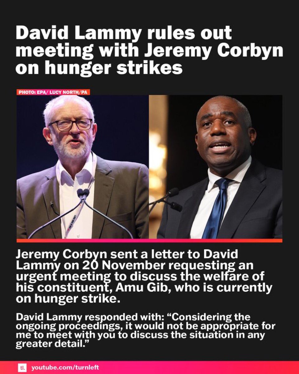 Hungry & The Hunted 🇵🇸 tweet media