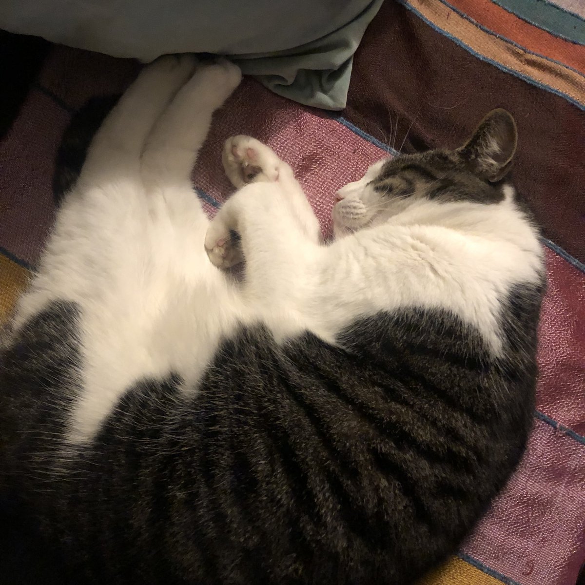 That kind of weather ~