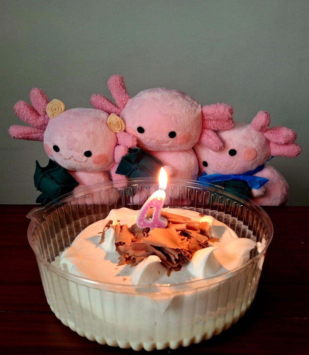 El equipo de #AJOLOTÍN agradece a quienes nos acompañaron este 2025. ¡Nos vemos en el Verano de 2026 para celebrar nuestra 4ta Edición! 🥳🎬