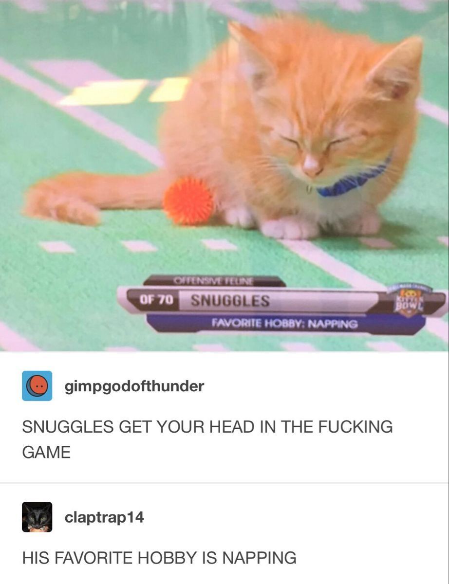 hourly_shitpost's tweet image. 