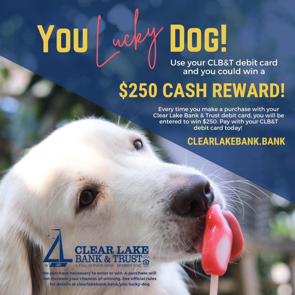 You’re in luck! 🐶💳 Use your CLB&amp;T debit card for everyday purchases and you could be entered to win a $250 cash reward. The more you swipe, the more chances to win!

Visit clearlakebank.bank/you-lucky-dog for details.