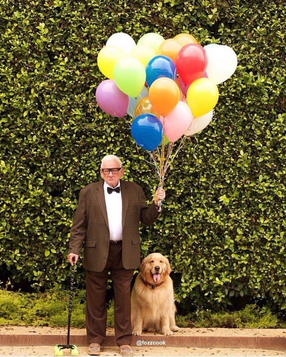 everything dogs 🐶 (@everythingdogss) on Twitter photo 