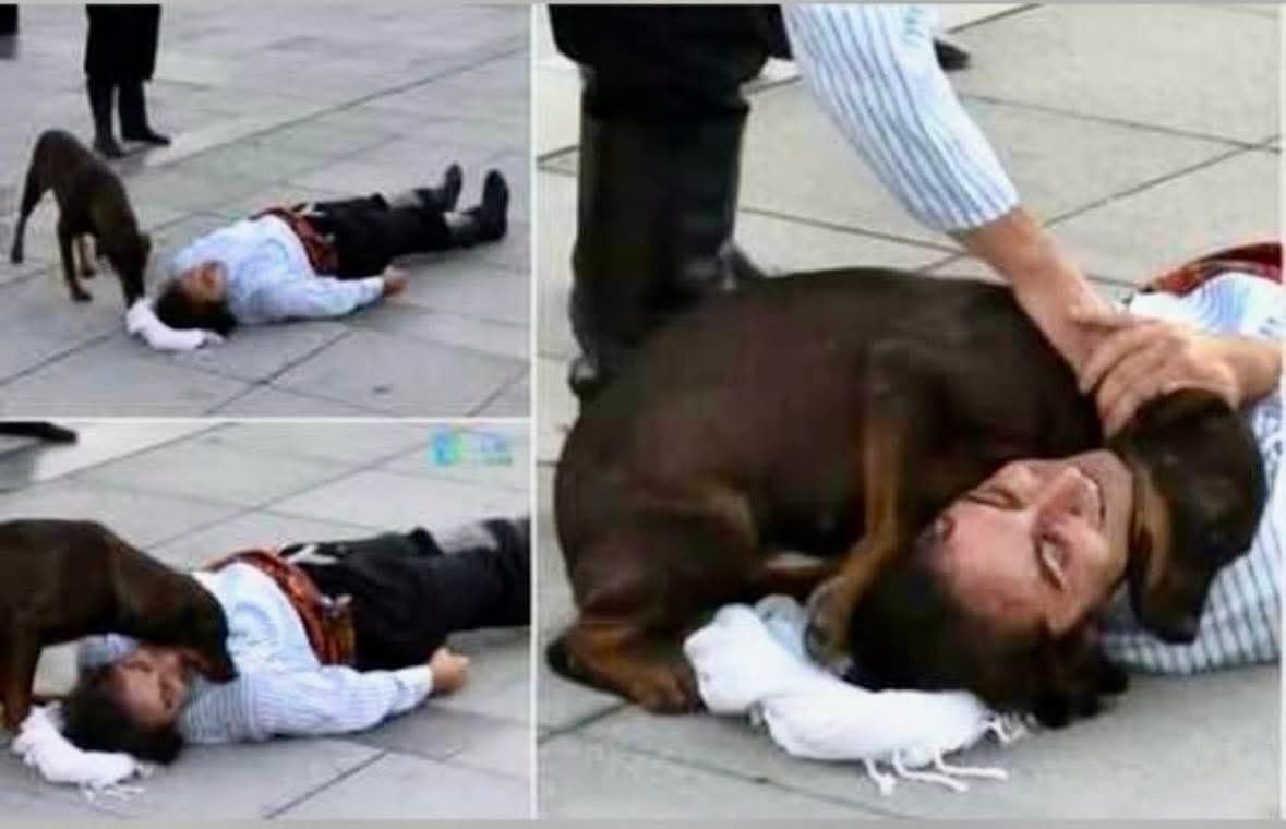 Durante una representación de teatro callejero en Turquía 🇹🇷, el actor Numan Ertuğrul Uzunsoy se encontraba inmerso en una escena cargada de emoción. Su personaje yacía en el suelo, inmóvil y en agonía, mientras la multitud observaba en un silencio reverente, completamente