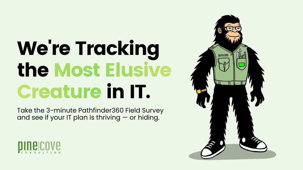 Pine Cove Consulting tweet media