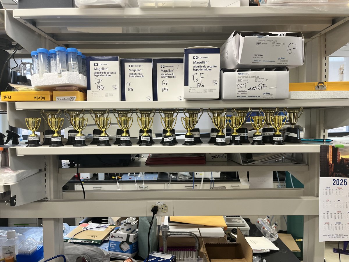 Giovanni Ferrari PhD tweet media