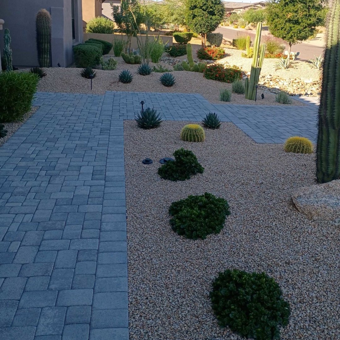 Divine Design Landscaping tweet media